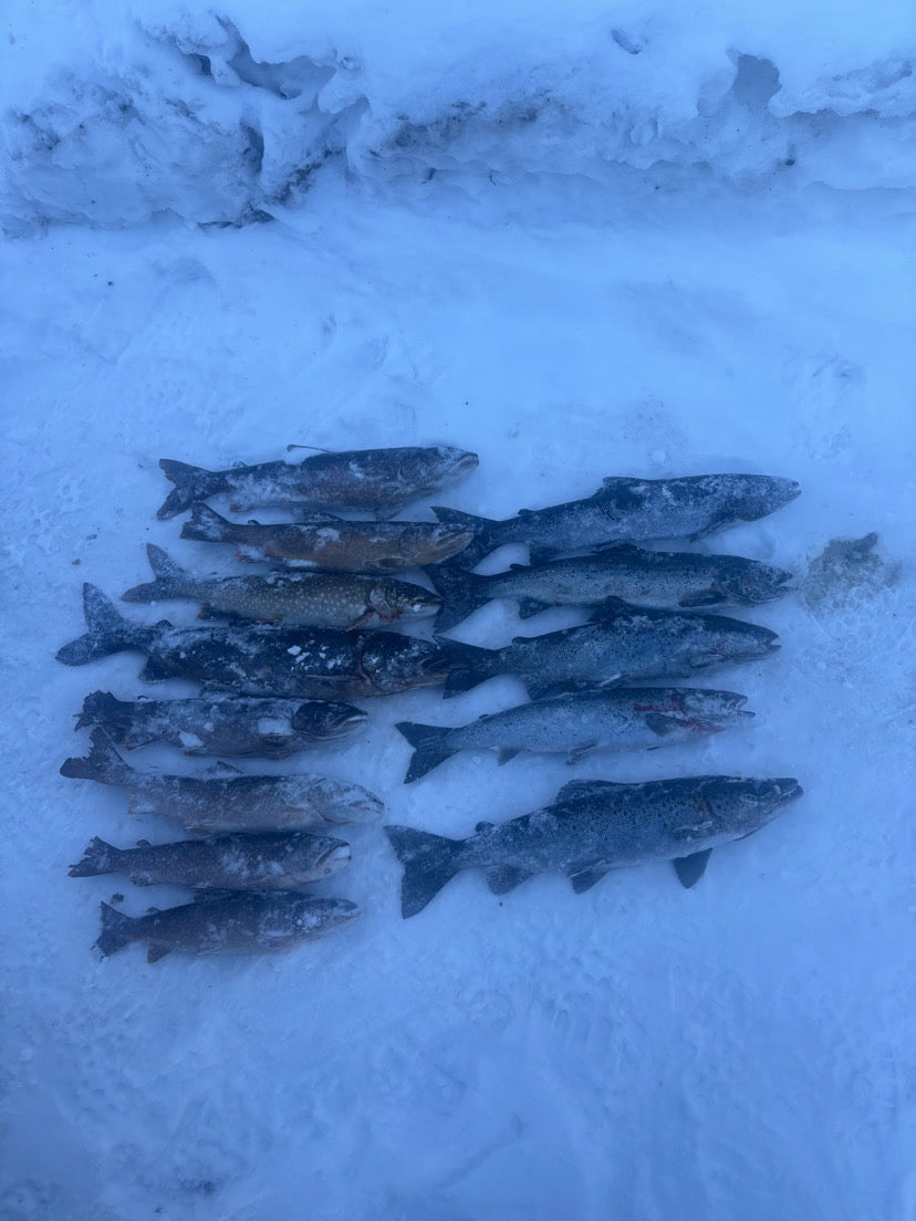 Day Long Ice Fishing Fully Guided